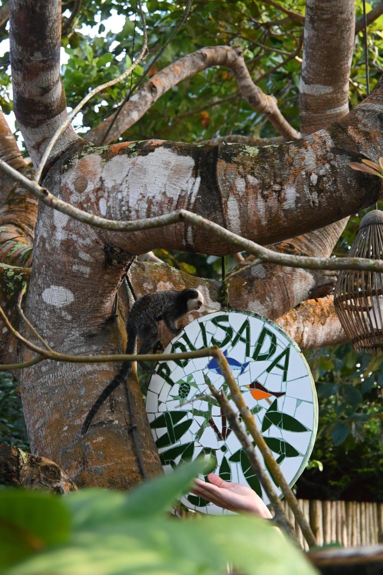 Pousada Habitat Caraiva Caraíva Exterior foto